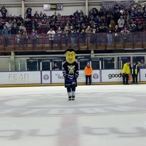 Chuck-A-Puck