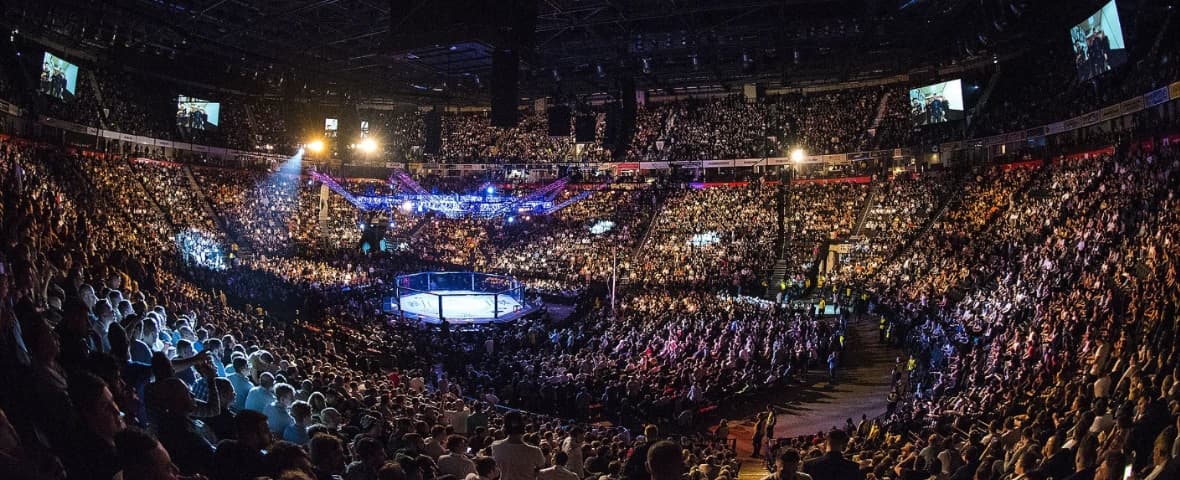 AO Arena feature image